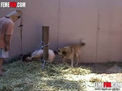 Slave mothers who are chained to posts and made to take dog cock are punished and humiliated by animal sex.